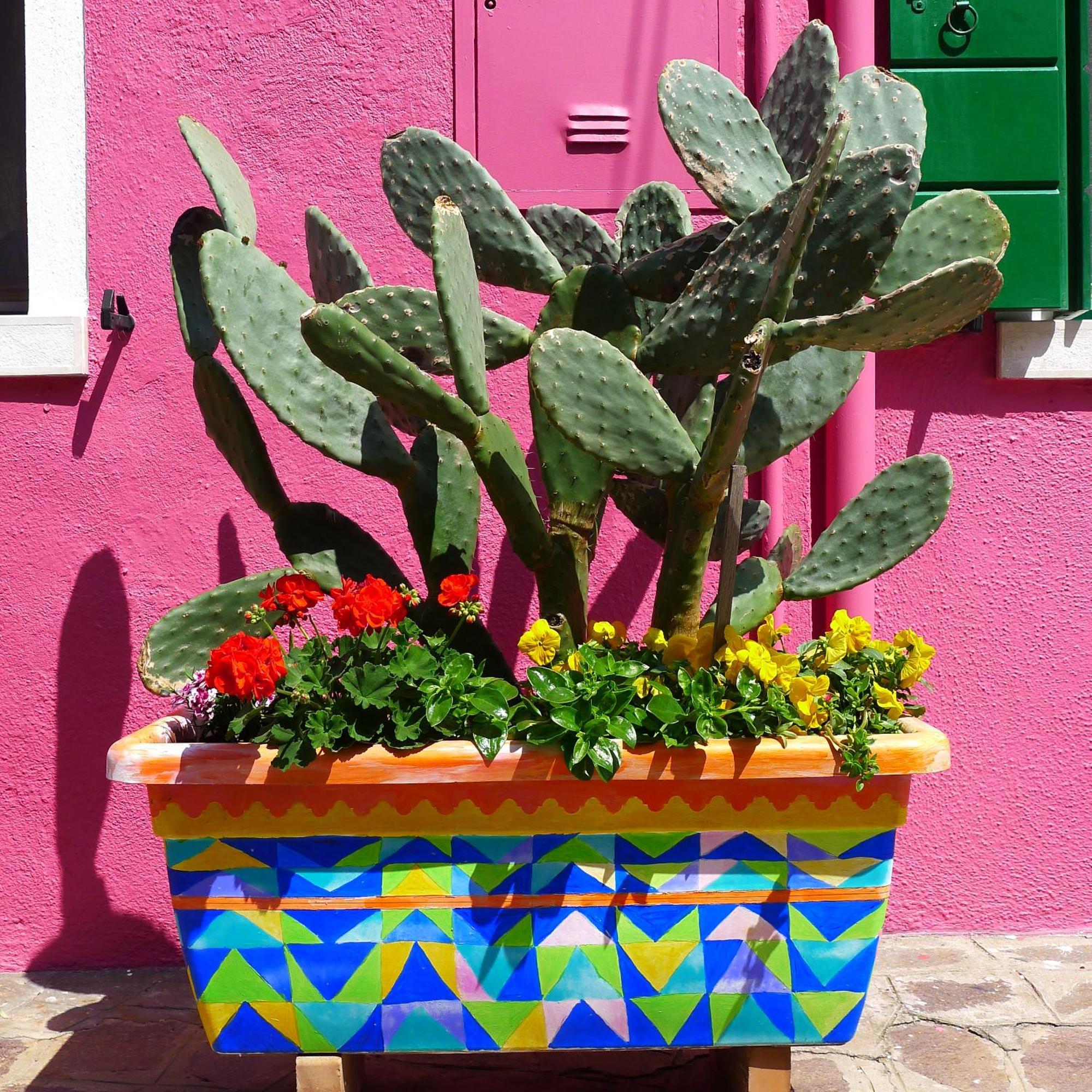 Night Galleria Holiday Home - Bed & Art In Burano - The Pink House Ngoại thất bức ảnh